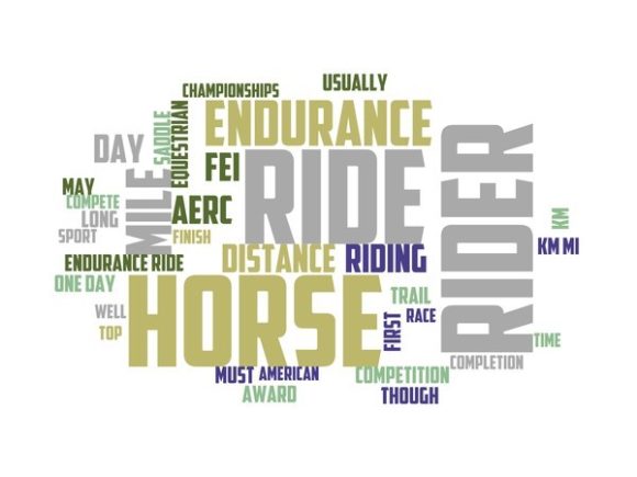 Endurance Riding Typography Skinny Tumbl