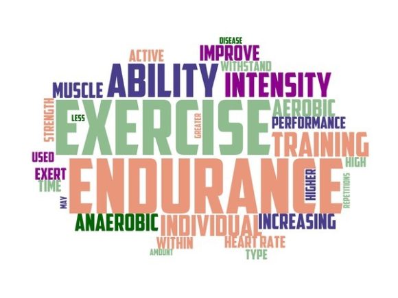 Endurance Typography Banner