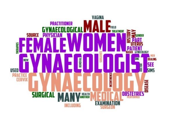 Gynaecologist Typography Crafting: Where Medical Precision Meets Artistic Expression